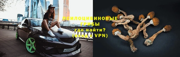 прущая мука Аркадак