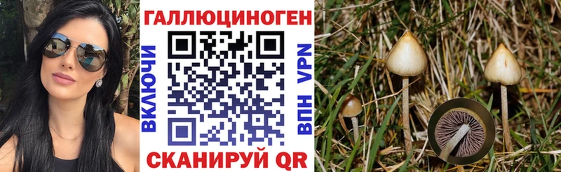 Купить  Ступино  Галлюциногенные грибы мухоморы 